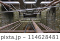 114628481