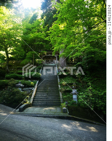 福井県永平寺の勅使門 福井県永平寺の勅使門 114628824