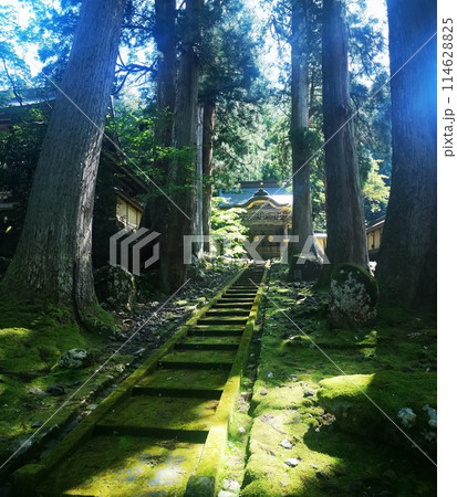 福井県永平寺の勅使門 114628825