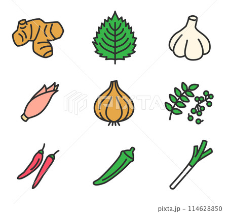 シンプルな野菜のアイコン　イラストセット 114628850