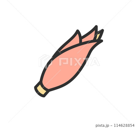 シンプルなミョウガのイラスト 114628854