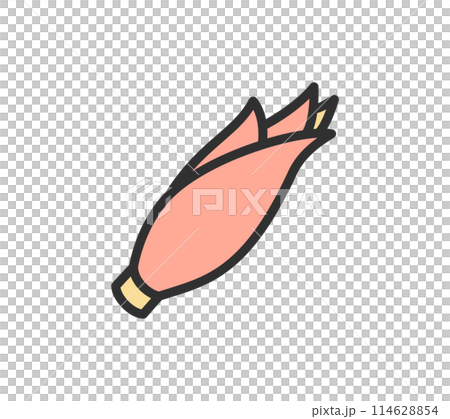 シンプルなミョウガのイラスト 114628854