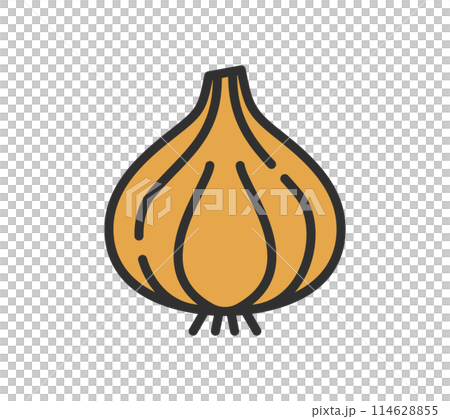 シンプルな玉ねぎのイラスト シンプルな玉ねぎのイラスト 114628855