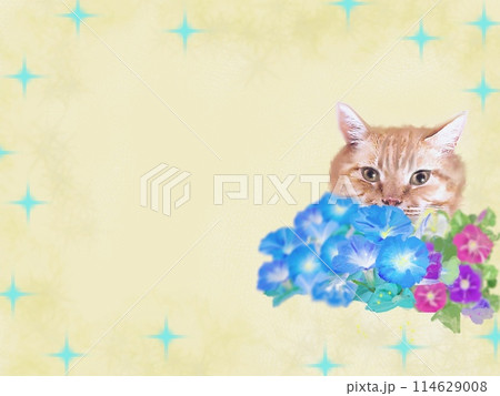 朝顔と猫 朝顔と猫 114629008