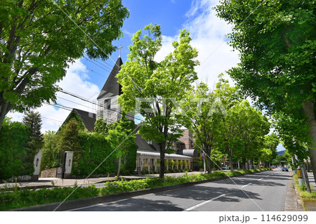 5月の京都市左京区松ケ崎 北山通の風景 114629099