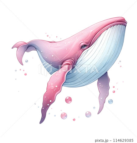 3D pink humpback whale 114629385