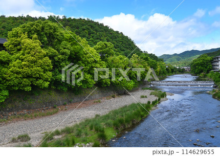 京都市左京区松ヶ﨑橋から望む新緑の高野川 京都市左京区松ヶ﨑橋から望む新緑の高野川 114629655