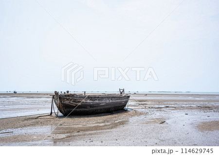 The ruined remains of a fishing boat 114629745