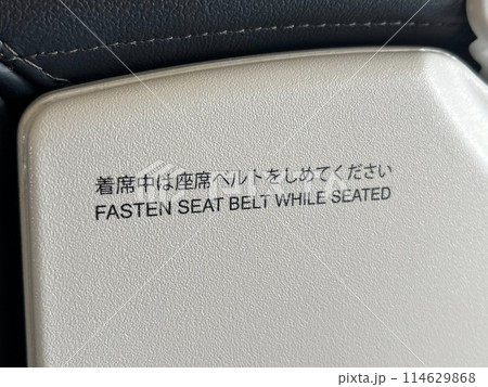 飛行機内の着席説明 114629868