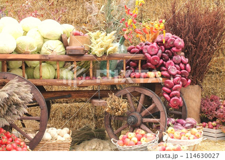 Fresh organic vegetables on farmer market. Local farm bazaar. Assortment of fresh organic harvest garden produce. Bio products, bio ecology. Natural healthy food festival. Agricultural rustic fair 114630027