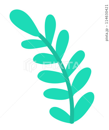 Green plant with leaves in flat design. Wildlife forest foliage branch. Vector illustration isolated. 114630421