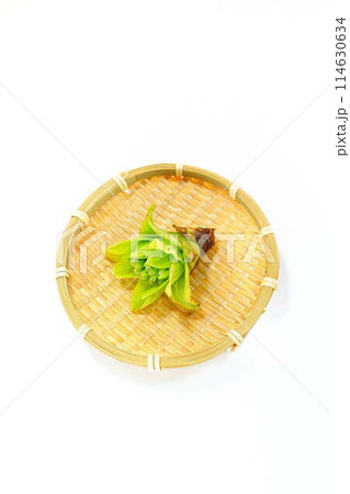 フキノトウ　ふきのとう　蕗の薹 114630634