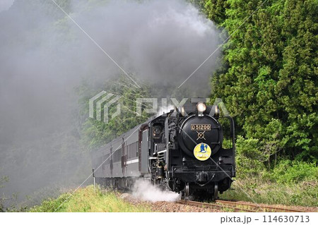 運転再開 SLやまぐち号 JR山口線 撮影名所 本門前踏 紅葉映える 津和野を出発 運転再開 SLやまぐち号 JR山口線 撮影名所 本門前踏 紅葉映える 津和野を出発 114630713