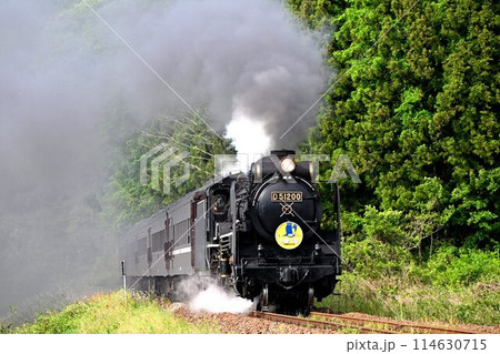 運転再開　SLやまぐち号　JR山口線　撮影名所　本門前踏　紅葉映える　津和野を出発 114630715