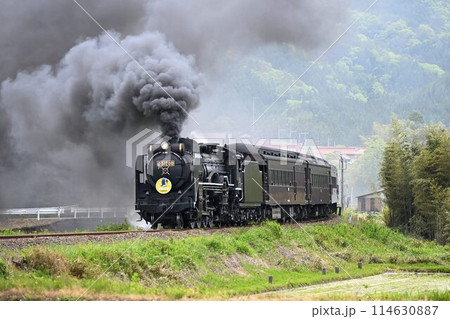 運転再開 SLやまぐち号 JR山口線 撮影名所 徳佐Sカーブを驀進 運転再開 SLやまぐち号 JR山口線 撮影名所 徳佐Sカーブを驀進 114630887