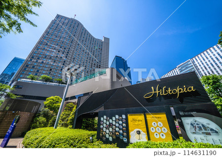 日本の東京都市景観　新宿副都心・ヒルトン東京などを望む＝28日 114631190