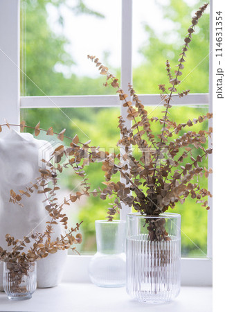 Beautiful dry eucalyptus flowers in a glass vase on a windowsill near a small decorative statue. green summer background. 114631354