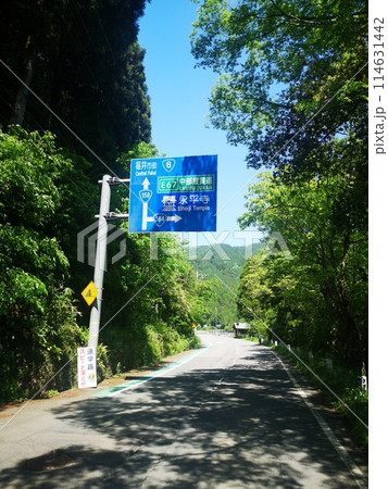 福井県福井市内の道路標識 福井県福井市内の道路標識 114631442