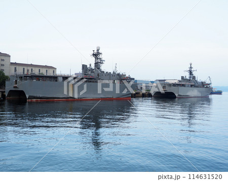 広島県呉市「アレイからすこじま」からの海上自衛隊の潜水艦や護衛艦 114631520