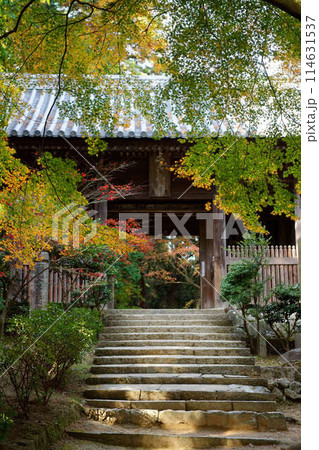書写山円教寺の紅葉に包まれた山門 114631537