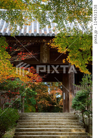 書写山の紅葉に包まれた山門 書写山の紅葉に包まれた山門 114631538