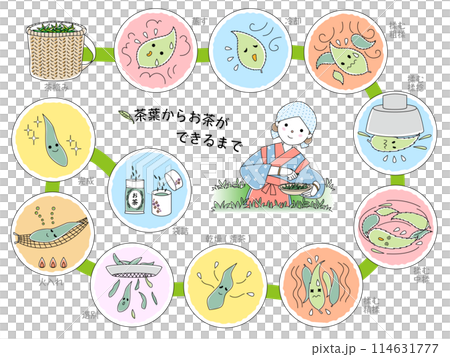 茶葉からお茶ができるまで 114631777
