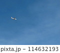 大空を飛ぶ飛行機 114632193