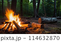 森の中の焚火 114632870