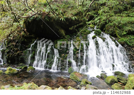 元滝伏流水は、鳥海山の溶岩の末端崖から溢れ出す湧水がつくる滝です 元滝伏流水は、鳥海山の溶岩の末端崖から溢れ出す湧水がつくる滝です 114632988