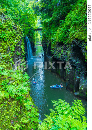 宮崎県高千穂町 高千穂峡の柱状節理と真名井の滝 宮崎県高千穂町 高千穂峡の柱状節理と真名井の滝 114633045