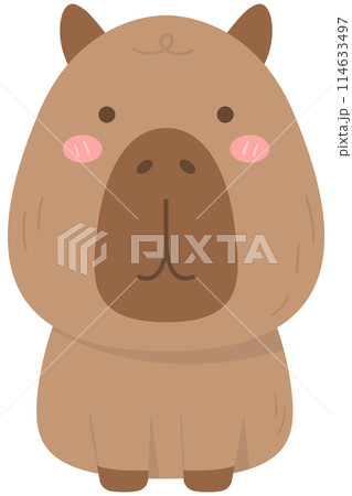cute sweet hand drawn capybara 114633497