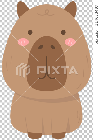 cute sweet hand drawn capybara 114633497