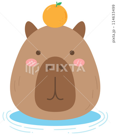 cute sweet hand drawn capybara 114633499