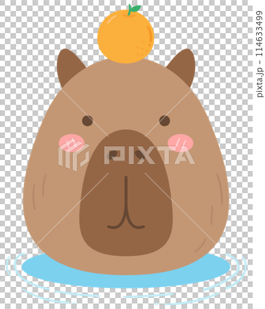 cute sweet hand drawn capybara 114633499