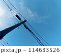 青空と電線 114633526