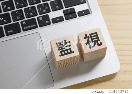 監視と書かれた積み木のブロック 114633752