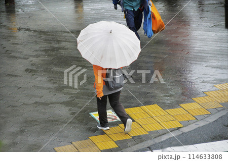 梅雨の風景。傘をさして濡れた歩道を足早に歩く女性の後ろ姿 114633808