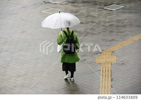 梅雨の風景。傘をさして家路に着く女性の後ろ姿。買い物帰りかリュックも重そうに 梅雨の風景。傘をさして家路に着く女性の後ろ姿。買い物帰りかリュックも重そうに 114633809