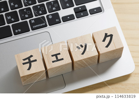 チェックと書かれた積み木のブロック 114633819