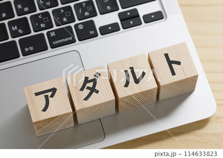 アダルトと書かれた積み木のブロック 114633823