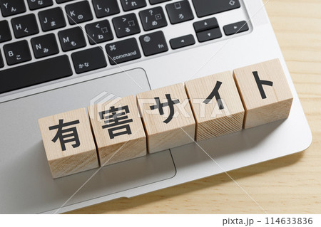 有害サイトと書かれた積み木のブロック 有害サイトと書かれた積み木のブロック 114633836