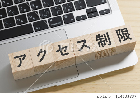 アクセス制限と書かれた積み木のブロック アクセス制限と書かれた積み木のブロック 114633837