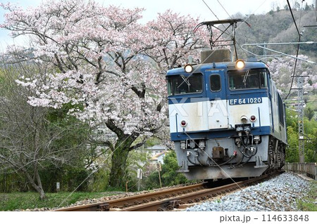 中国山地越え伯備線 第2高梁川橋梁を力走する EE64牽引貨物列車 中国山地越え伯備線 第2高梁川橋梁を力走する EE64牽引貨物列車 114633848