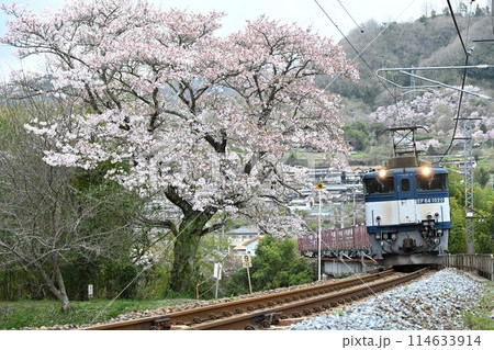中国山地越え伯備線　第2高梁川橋梁を力走する　EE64牽引貨物列車 114633914
