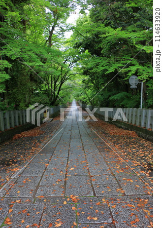 Muko-Jinja Shinto Shrine in Muko City of Kyoto Japan. Founded in the year 718 by the Mutobe clan as requested by Emperor Jinmu. Its design was copied by the Meiji Jingu in Tokyo. 114633920