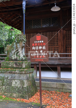 Muko-Jinja Shinto Shrine in Muko City of Kyoto Japan. Founded in the year 718 by the Mutobe clan as requested by Emperor Jinmu. Its design was copied by the Meiji Jingu in Tokyo. Muko-Jinja Shinto Shrine in Muko City of Kyoto Japan. Founded in the year 718 by the Mutobe clan as requested by Emperor Jinmu. Its design was copied by the Meiji Jingu in Tokyo. 114633934