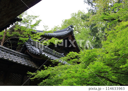 Muko-Jinja Shinto Shrine in Muko City of Kyoto Japan. Founded in the year 718 by the Mutobe clan as requested by Emperor Jinmu. Its design was copied by the Meiji Jingu in Tokyo. Muko-Jinja Shinto Shrine in Muko City of Kyoto Japan. Founded in the year 718 by the Mutobe clan as requested by Emperor Jinmu. Its design was copied by the Meiji Jingu in Tokyo. 114633963