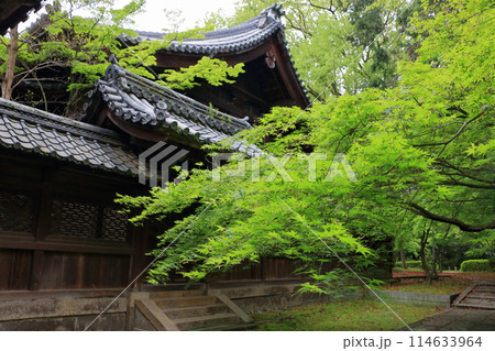 Muko-Jinja Shinto Shrine in Muko City of Kyoto Japan. Founded in the year 718 by the Mutobe clan as requested by Emperor Jinmu. Its design was copied by the Meiji Jingu in Tokyo. 114633964