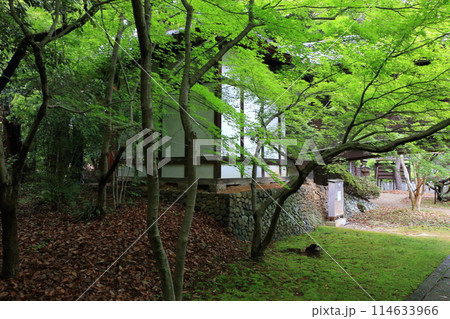 Muko-Jinja Shinto Shrine in Muko City of Kyoto Japan. Founded in the year 718 by the Mutobe clan as requested by Emperor Jinmu. Its design was copied by the Meiji Jingu in Tokyo. 114633966
