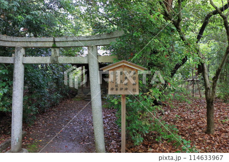 Muko-Jinja Shinto Shrine in Muko City of Kyoto Japan. Founded in the year 718 by the Mutobe clan as requested by Emperor Jinmu. Its design was copied by the Meiji Jingu in Tokyo. Muko-Jinja Shinto Shrine in Muko City of Kyoto Japan. Founded in the year 718 by the Mutobe clan as requested by Emperor Jinmu. Its design was copied by the Meiji Jingu in Tokyo. 114633967